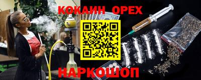 apvp Можга