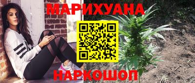 apvp Можга