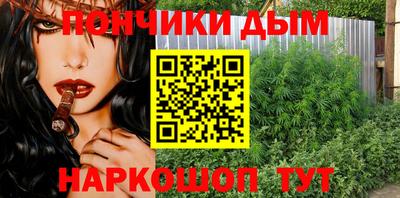 apvp Можга
