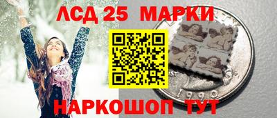apvp Можга