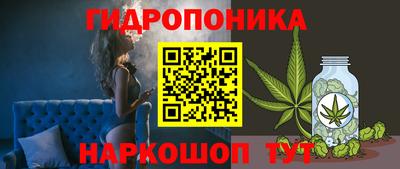 apvp Можга