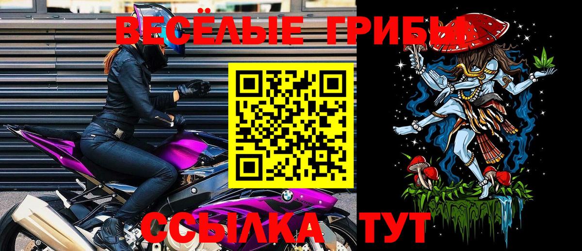 Псилоцибиновые грибы GOLDEN TEACHER Ялта